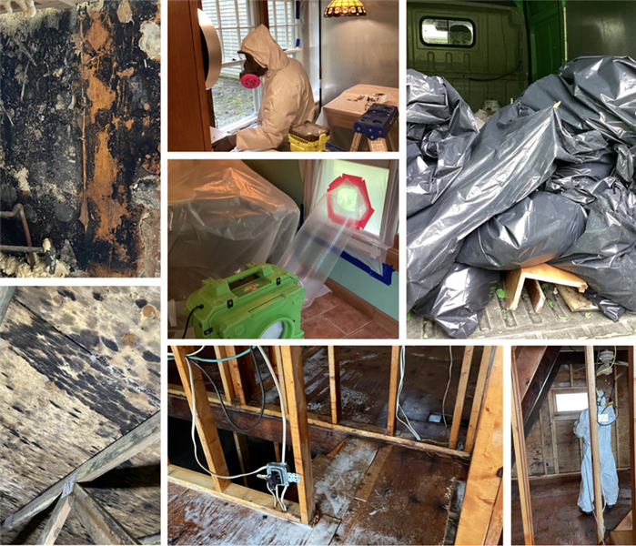 Colage of multiple phases of a mold remediation project.