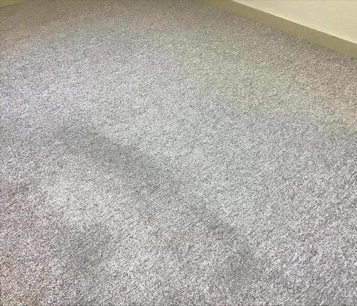 picture of light colored carpet flooring, one side looking cleaner than the other.